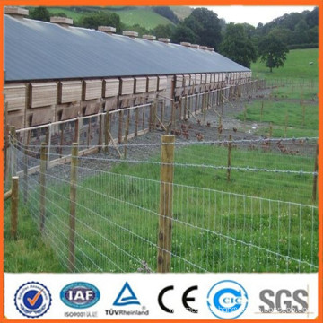 Anping professional manufacturer supplies farm iron fence/grassland cattle fence hot sale (ISO certification)